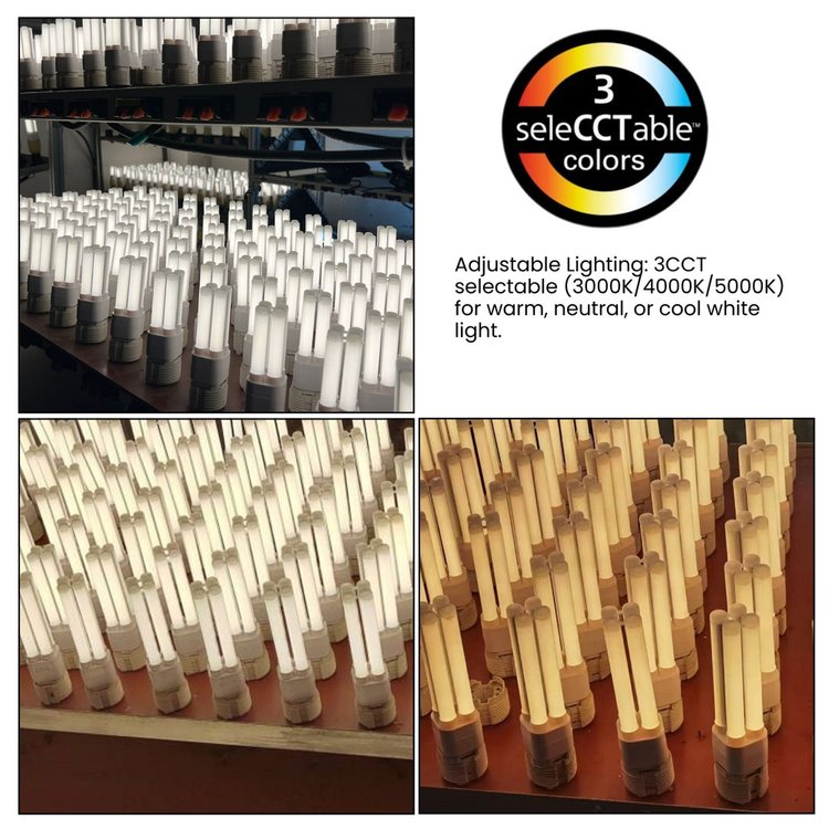 LED PL Lights
